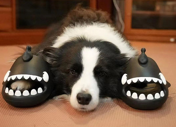 슬리퍼를 신은 사람들이 당신의 발을 가장 매력적으로 보이게 바꿔보세요!