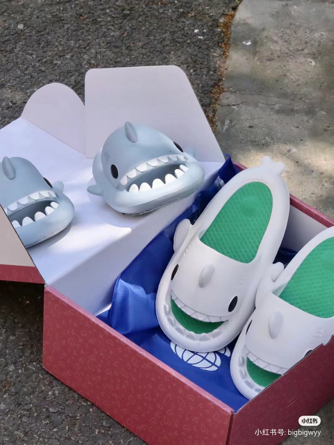 사진_20240229205737